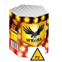 Wrona Crow