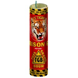 2 BISON  n°6, TGB