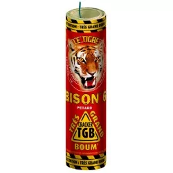 2 BISON  n°6, TGB
