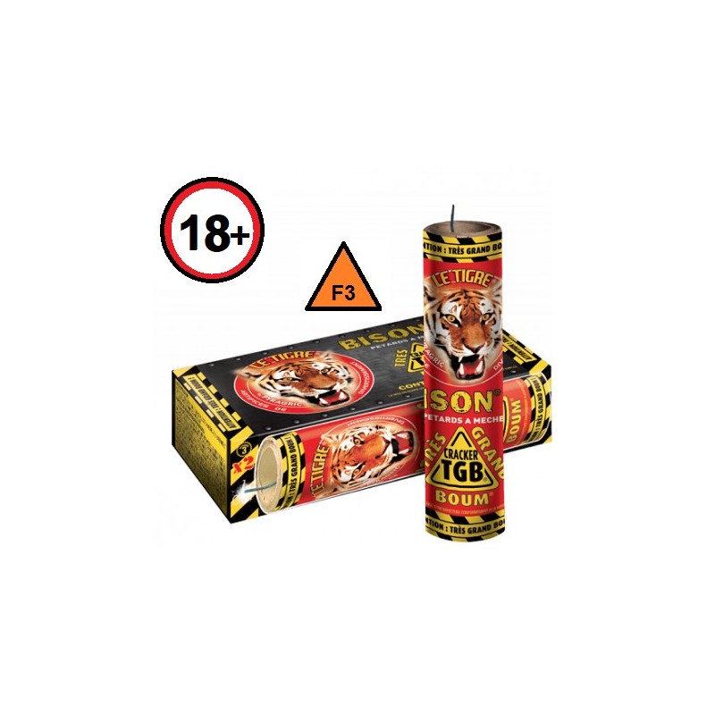 BISON n°6, TGB 